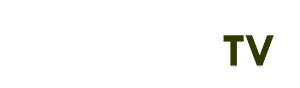 ca heo tv